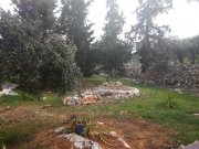 Gavalochori Blick auf Wald und Landschaft auf Kreta Grundstück kaufen